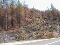 Последствия пожара в Сельге (750х562, 87Кб)