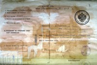 дореволюционный паспортный лист (500х334, 56Kb)