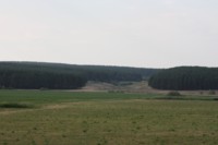 Леса близ села Большой Битаман, Высокогорский район (800х296,  15Kb)