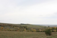 По дороге в Бакырчи Зеленодольского района  (1000х667, 41Kb)