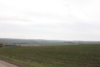 По дороге в Бакырчи Зеленодольского района  (1000х667, 42Kb)