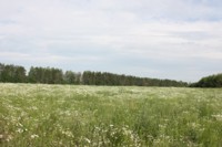 Вид по дороге в деревню Шипшиек, Высокогорский район (1000х667,  90Kb)